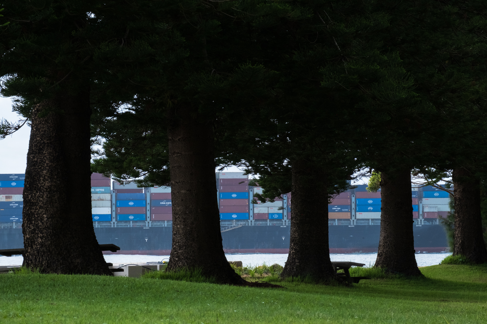 Pelion exits Kurnell