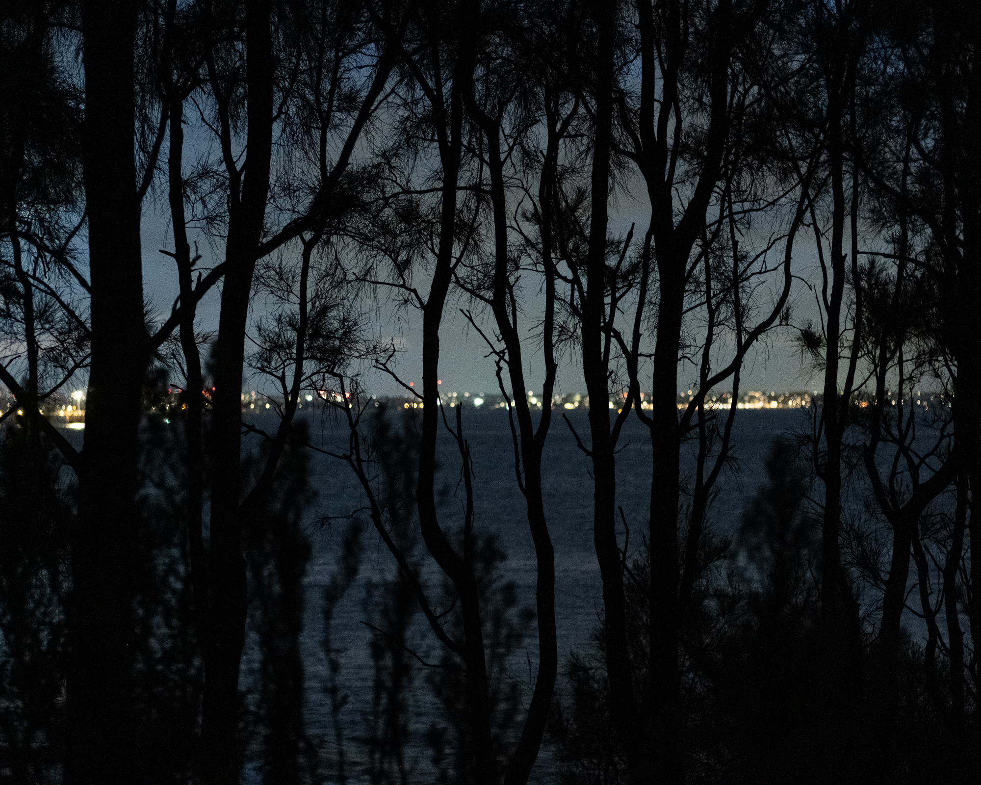 Industrial lights through trees, Kurnell