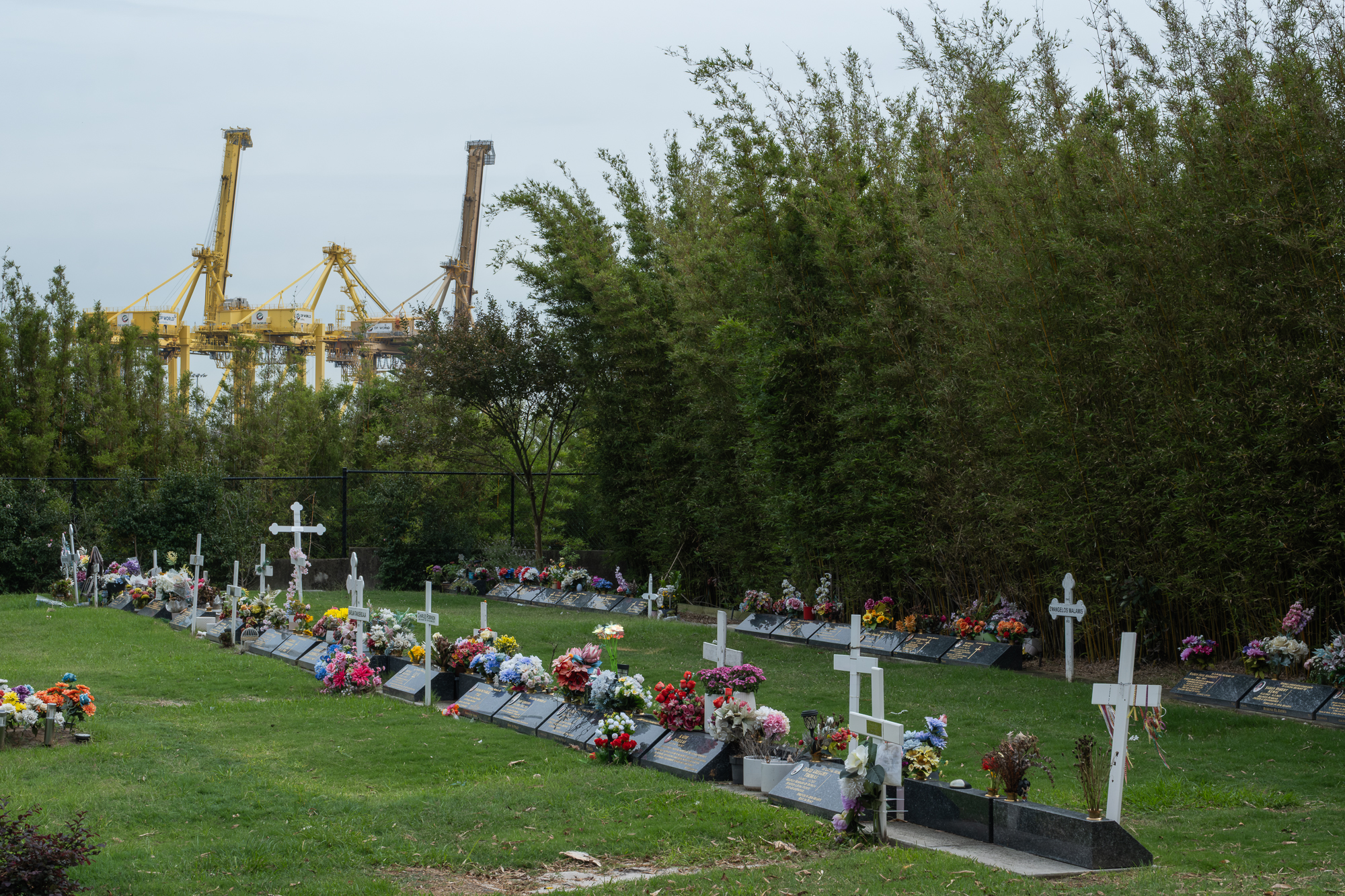 Graves #1, Matraville