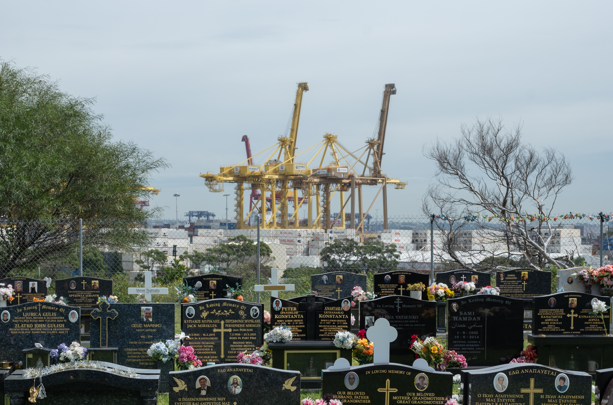 Graves #3, Matraville