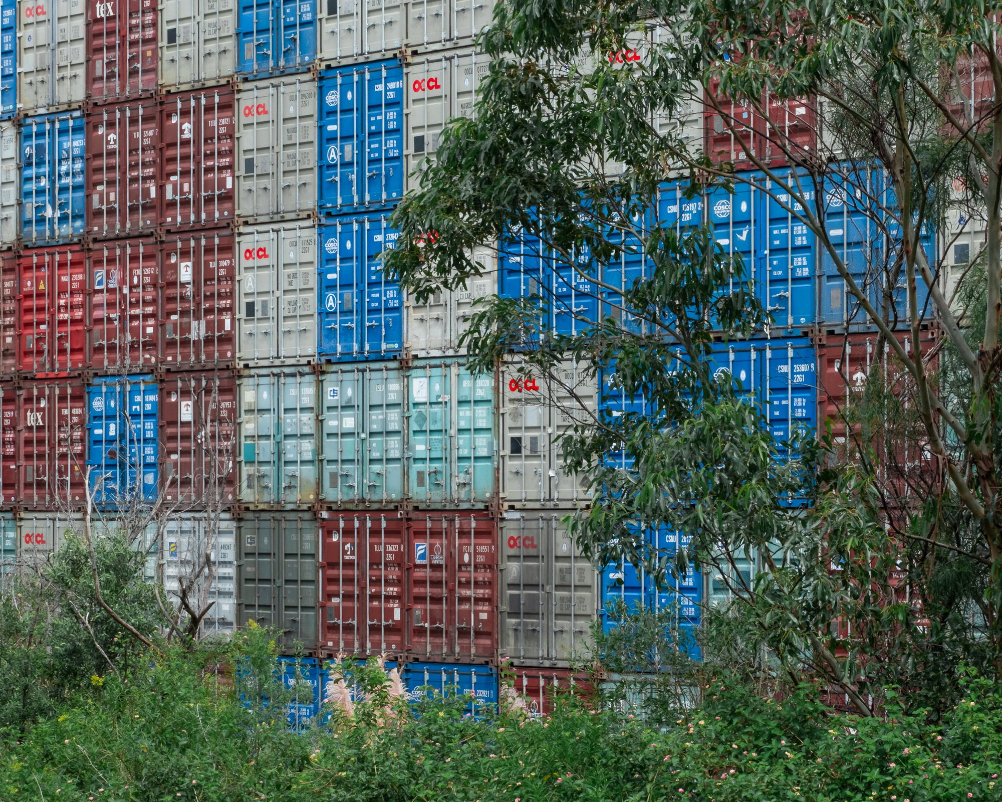Container stacks #1, Botany Bay