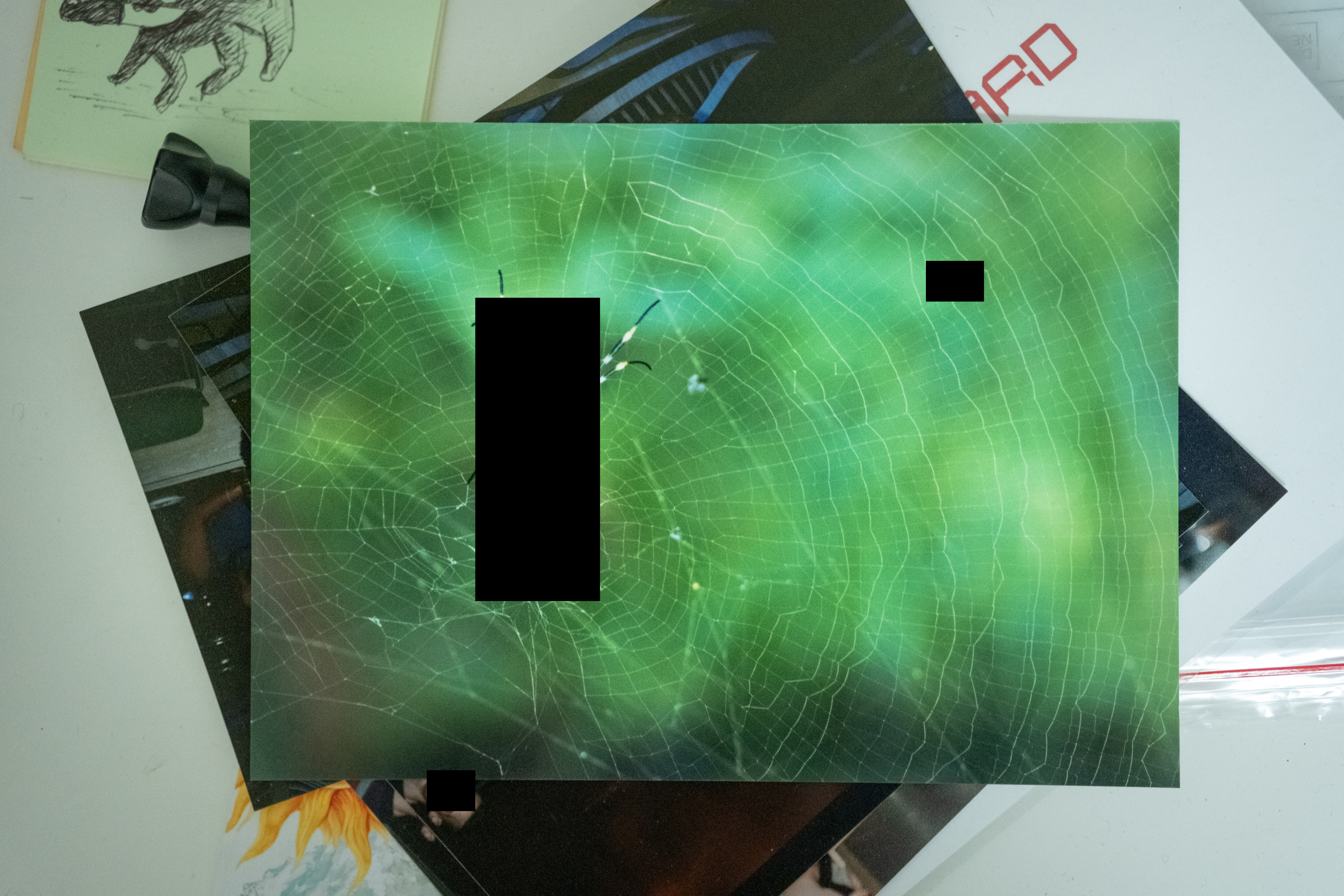 Uninhabited web