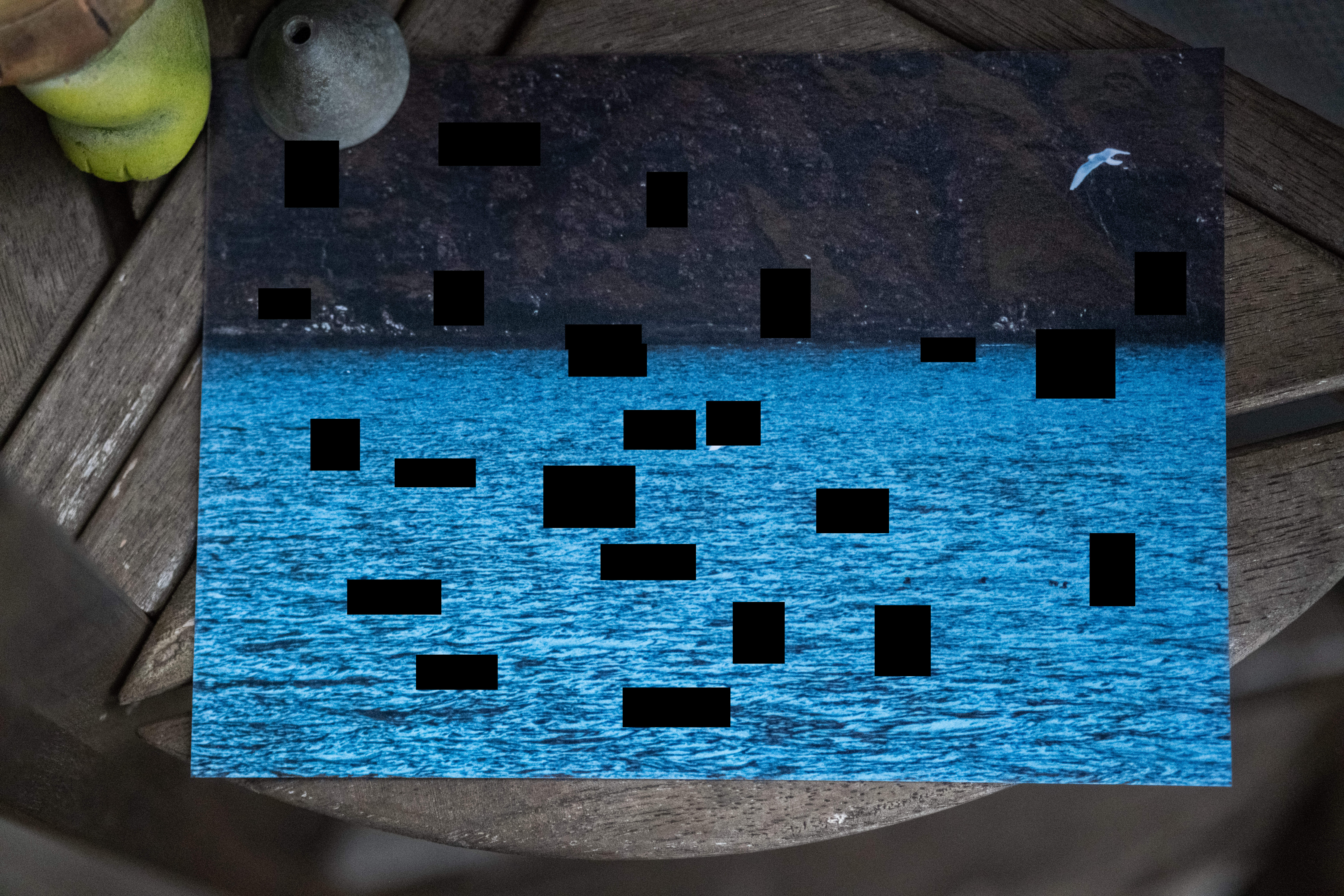 Coastal waters, singular bird