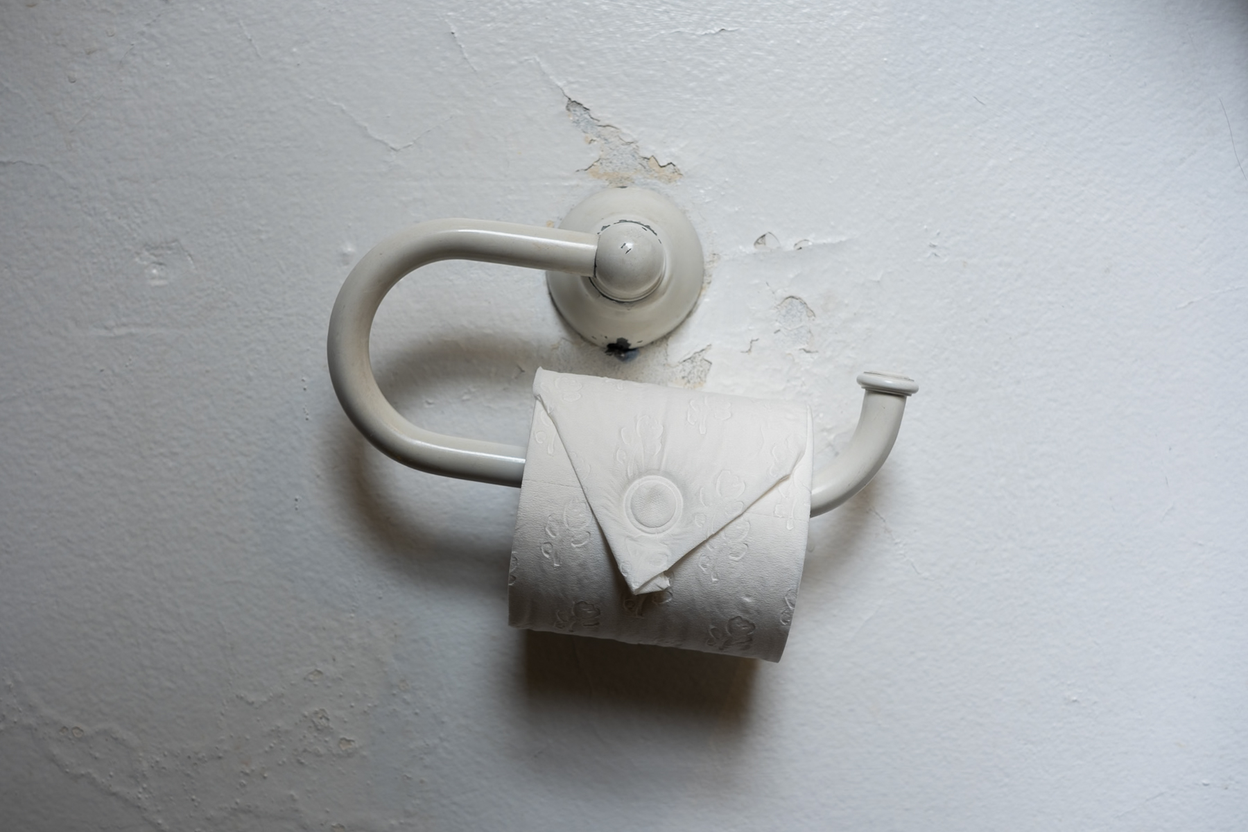 Toilet Paper, The Clarendon